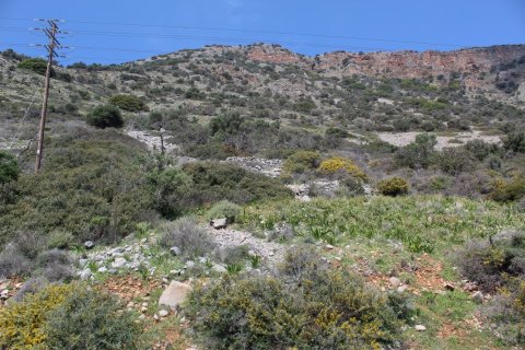 12000m² Land in Neapoli, Greece No. 57474 6