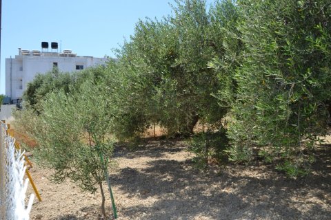 390m² Land in Heraklion, Greece No. 57233 3