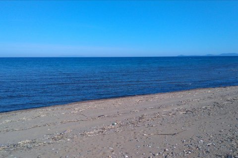 4100m² Land in Chalkidiki, Greece No. 58889 7