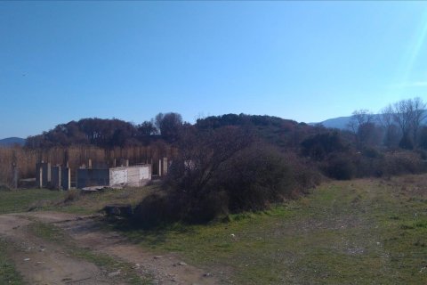 4100m² Land in Chalkidiki, Greece No. 58889 4