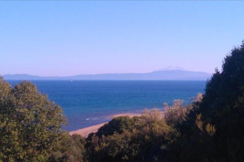 4100m² Land in Chalkidiki, Greece No. 58889 6