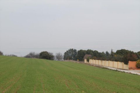 12646m² Land in Epanomi, Greece No. 58890 2