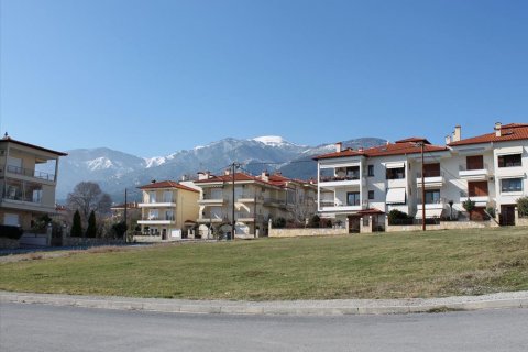 1300m² Land in Litochoro, Greece No. 58892 2