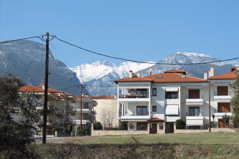 1300m² Land en Litochoro, Greece No. 58892 1