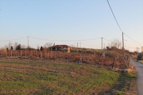 14400m² Land à Thermaic Gulf, Greece No. 58888 11