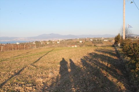 14400m² Land en Thermaic Gulf, Greece No. 58888 1