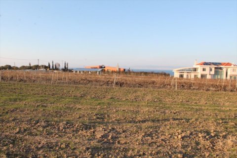 14400m² Land en Thermaic Gulf, Greece No. 58888 4