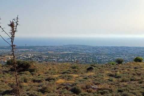 5686m² Land à Armou, Cyprus No. 36184 2