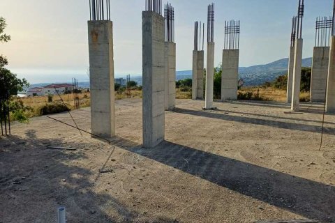 5686m² Land à Armou, Cyprus No. 36184 4