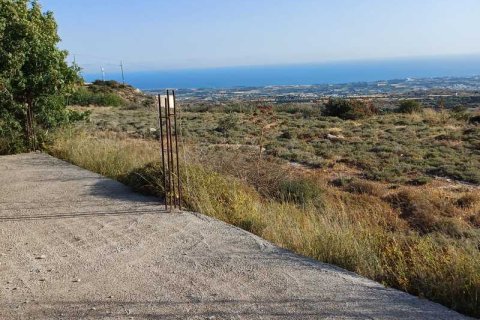 5686m² Land à Armou, Cyprus No. 36184 3