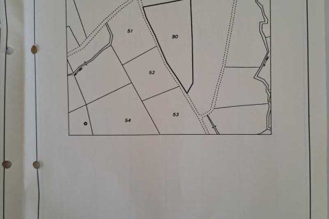 22643m² Land en Monagroulli, Cyprus No. 36183 2