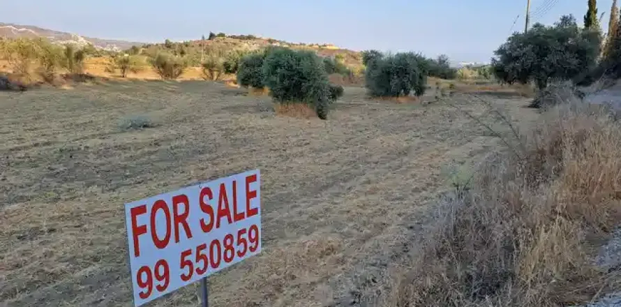 22643m² Land à Monagroulli, Cyprus No. 36183