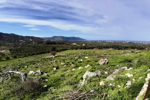 15503m² Land in Georgioupoli, Greece No. 56614 4