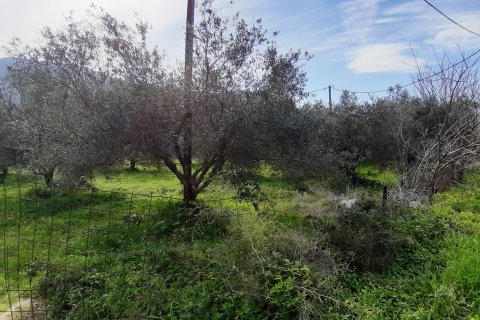 19280m² Land à Georgioupoli, Greece No. 56613 3