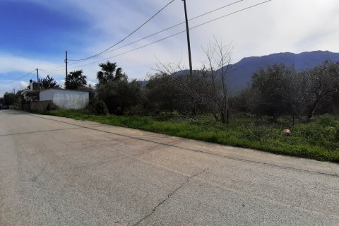 19280m² Land à Georgioupoli, Greece No. 56613 6