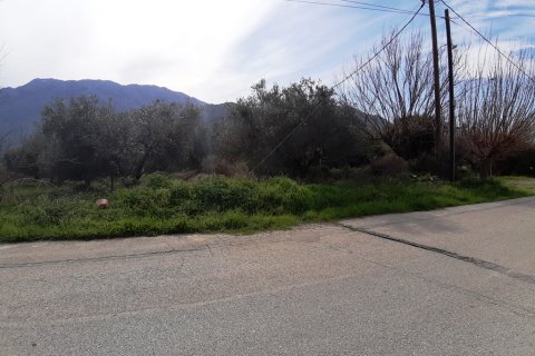 19280m² Land in Georgioupoli, Greece No. 56613 5