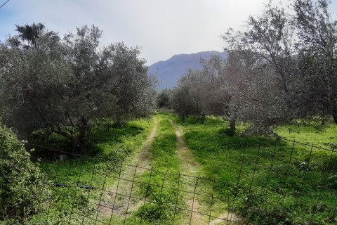 19280m² Land en Georgioupoli, Greece No. 56613 2