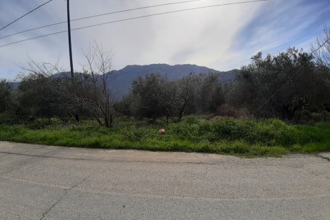 19280m² Land à Georgioupoli, Greece No. 56613 4