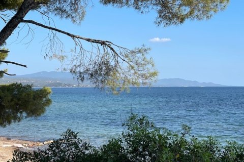 2 bedrooms Apartment in Chalkidiki, Greece No. 55100 26