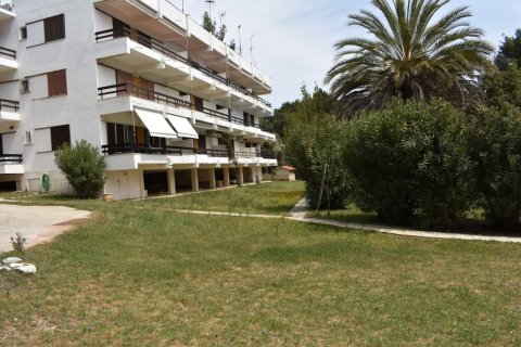 2 chambres Appartement à Chalkidiki, Greece No. 55099 25