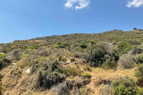 8200m² Land in Heraklion, Greece No. 55973 5