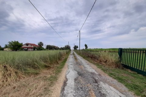 2396m² Land à Chalkidiki, Greece No. 55976 5