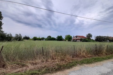 2396m² Land en Chalkidiki, Greece No. 55976 3