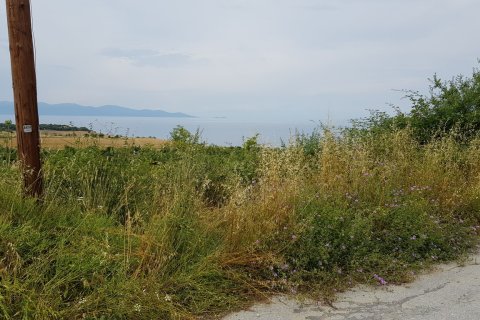 7000m² Land à Chalkidiki, Greece No. 59899 11