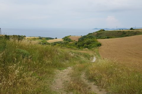 7000m² Land à Chalkidiki, Greece No. 59899 9