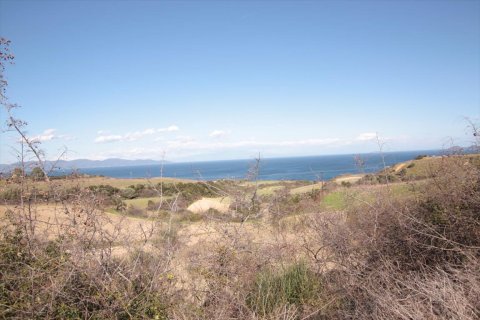 7000m² Land in Chalkidiki, Greece No. 59899 2