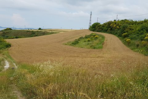 7000m² Land à Chalkidiki, Greece No. 59899 8