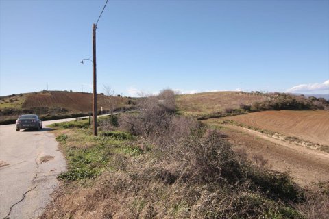 7000m² Land in Chalkidiki, Greece No. 59899 4