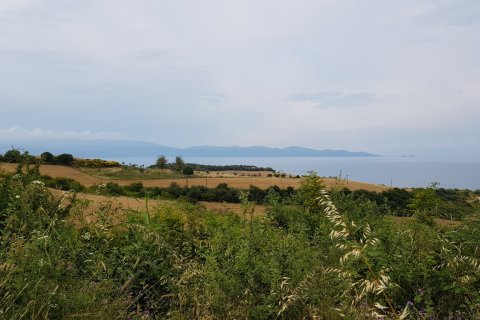 7000m² Land en Chalkidiki, Greece No. 59899 12