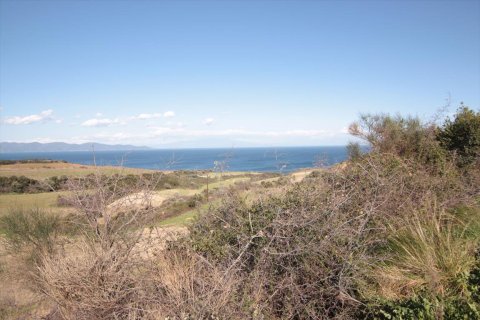 7000m² Land en Chalkidiki, Greece No. 59899 5