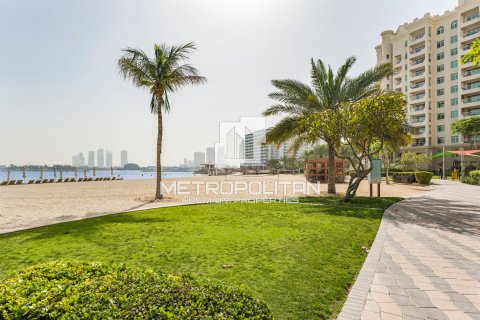 3 chambres Appartement à Shoreline Apartments, UAE No. 9078 25