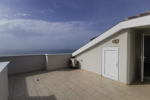 3+1 Penthouse en Alanya, Turkey No. 11796 4