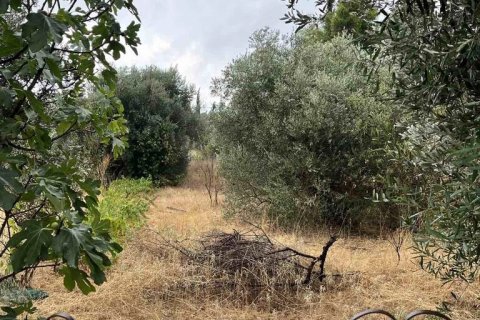 650m² Land à Marousi, Greece No. 55165 2