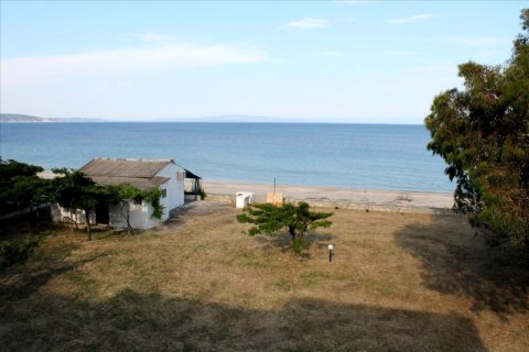 730m² Hotel en Chalkidiki, Greece No. 55166 1