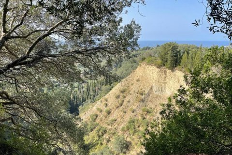 12000m² Land en Corfu, Greece No. 55164 13