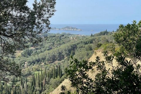 12000m² Land in Corfu, Greece No. 55164 1