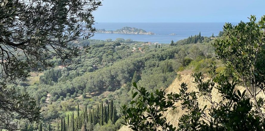 12000m² Land in Corfu, Greece No. 55164