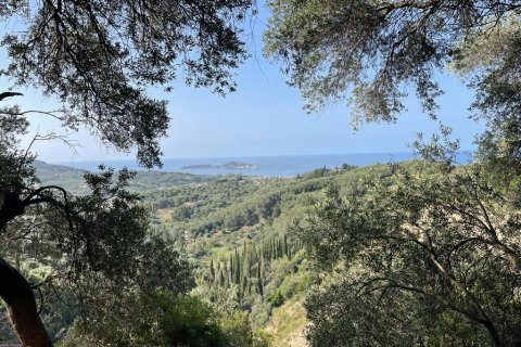 12000m² Land in Corfu, Greece No. 55164 3