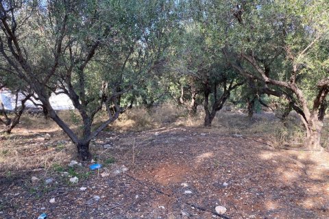 2019m² Land in Vamos, Greece No. 55167 5