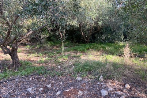 2019m² Land in Vamos, Greece No. 55167 2