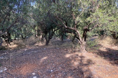 2019m² Land in Vamos, Greece No. 55167 4