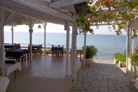 765m² Negocio en Chalkidiki, Greece No. 57269 7