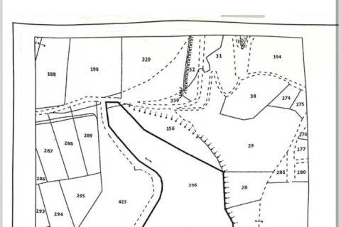 15000m² Land à Paphos, Cyprus No. 42126 3