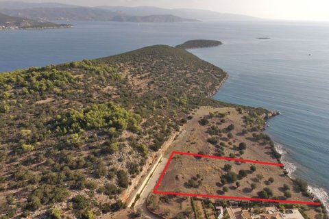 5000m² Land in Argolis, Greece No. 59708 2