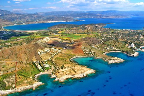 32000m² Land en Kranidi, Greece No. 59705 4