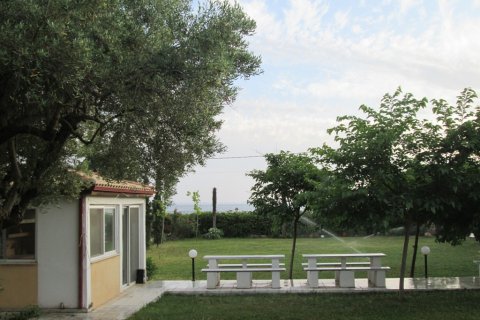 1600m² Land in Polygyros, Greece No. 59690 9